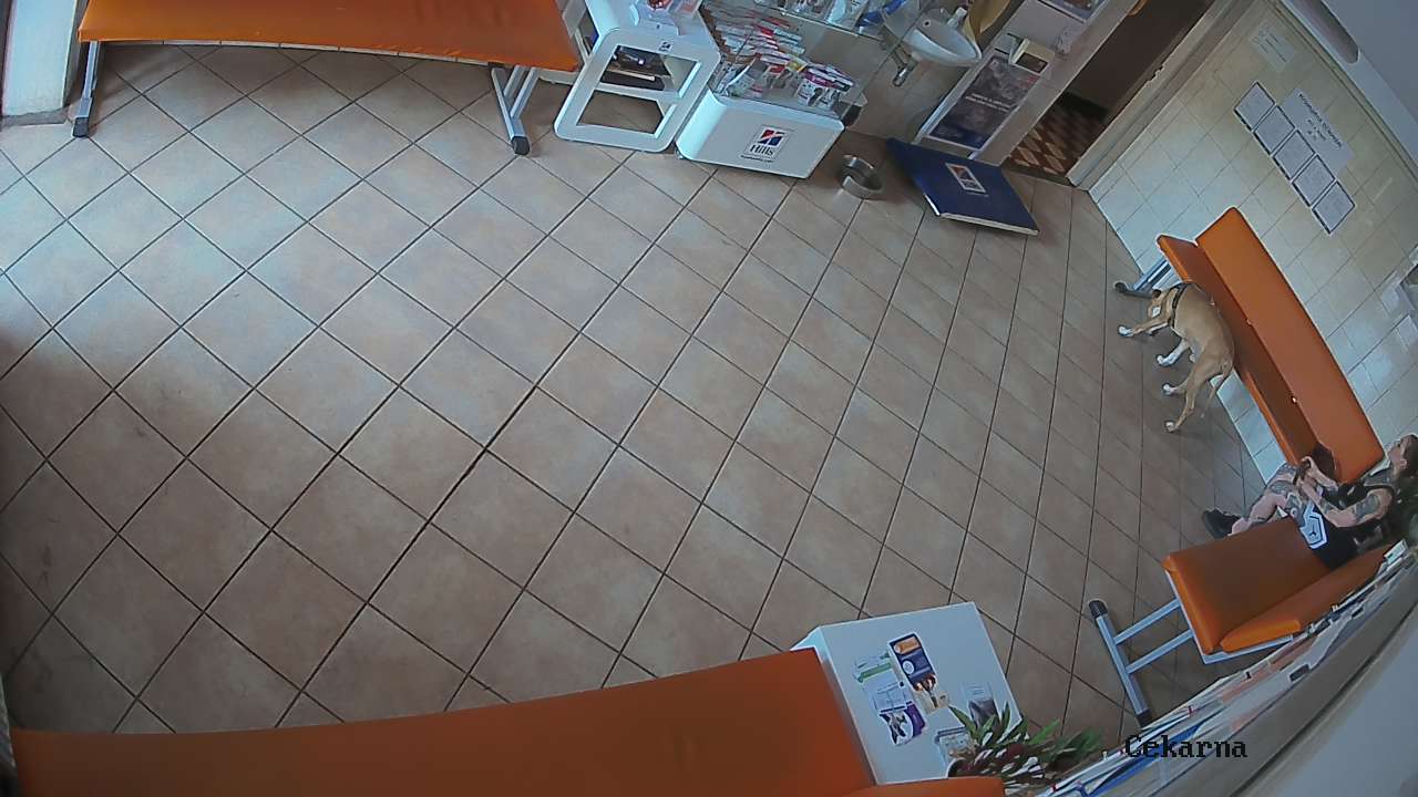 Pohled do čekárny