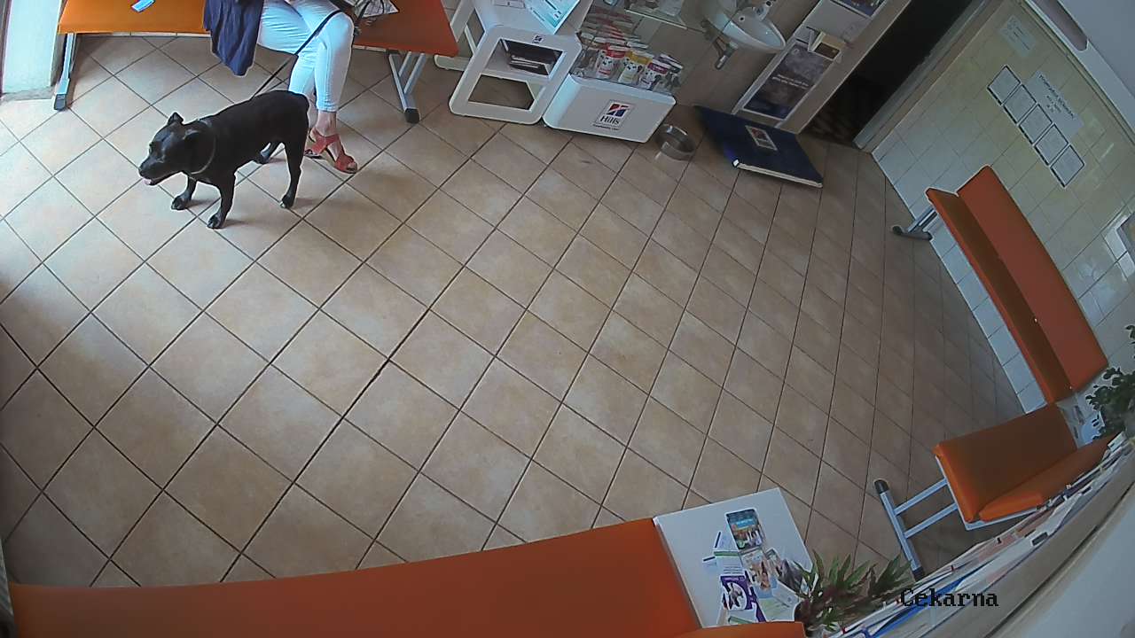 Pohled do čekárny