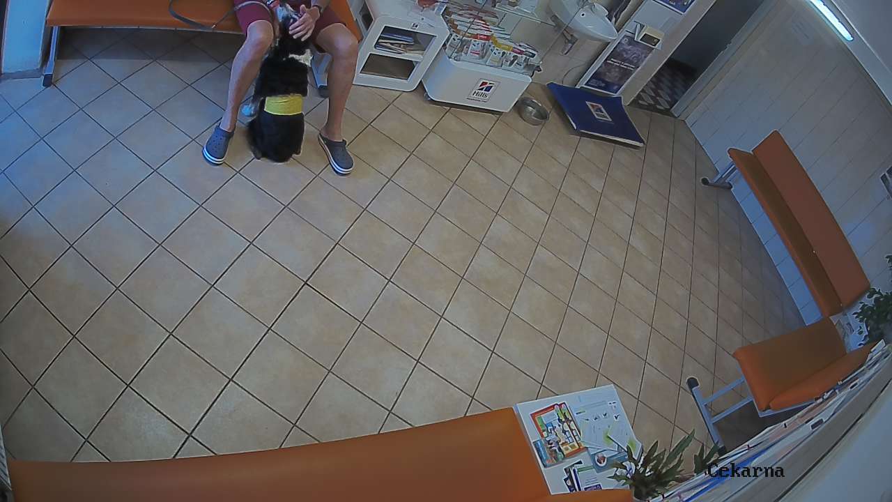 Pohled do čekárny