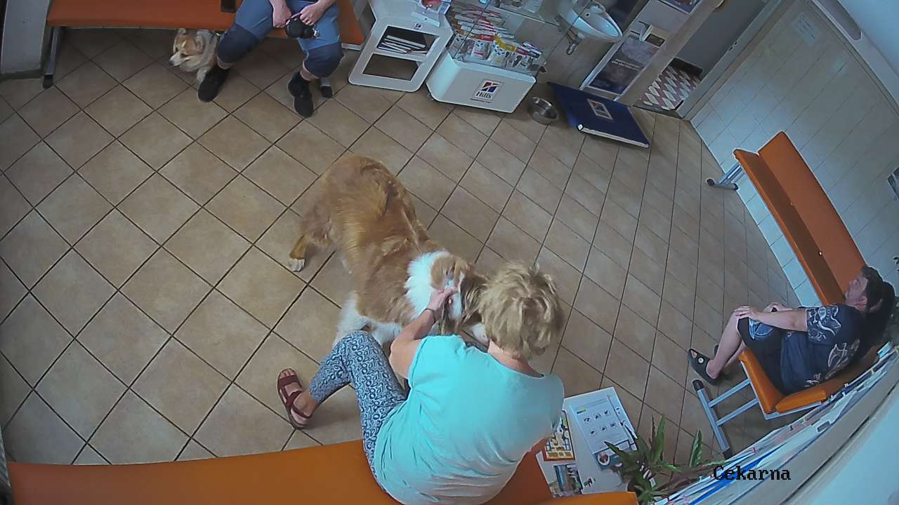 Pohled do čekárny