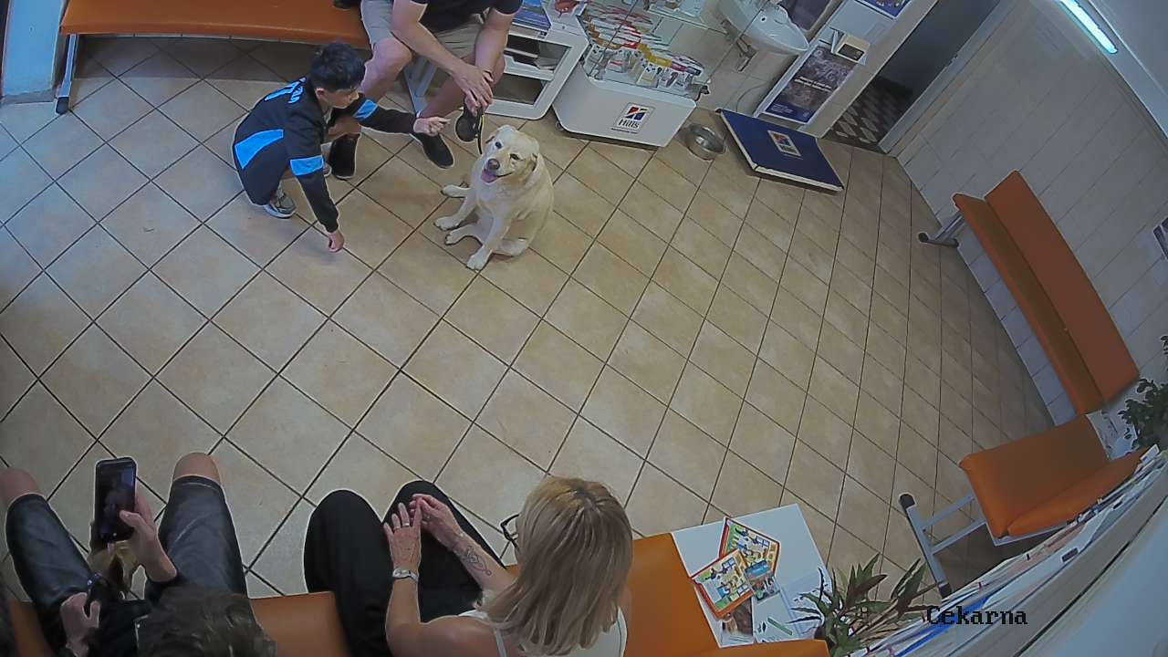 Pohled do čekárny