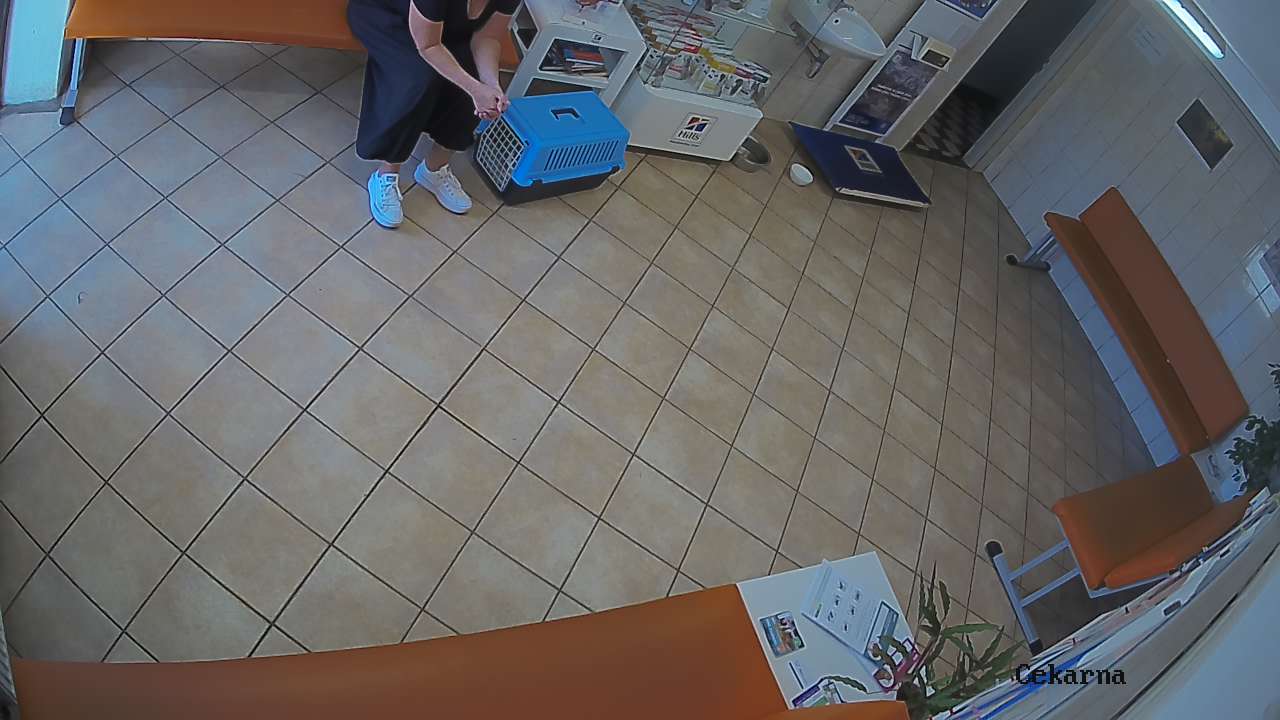 Pohled do čekárny