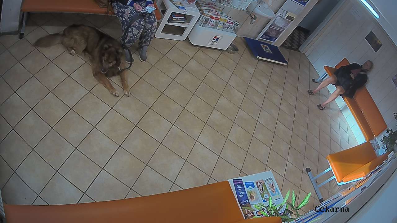 Pohled do čekárny