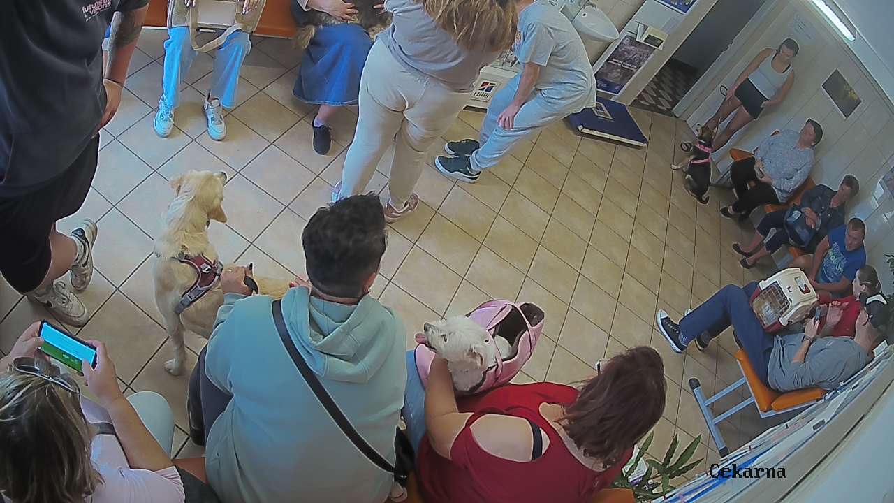 Pohled do čekárny