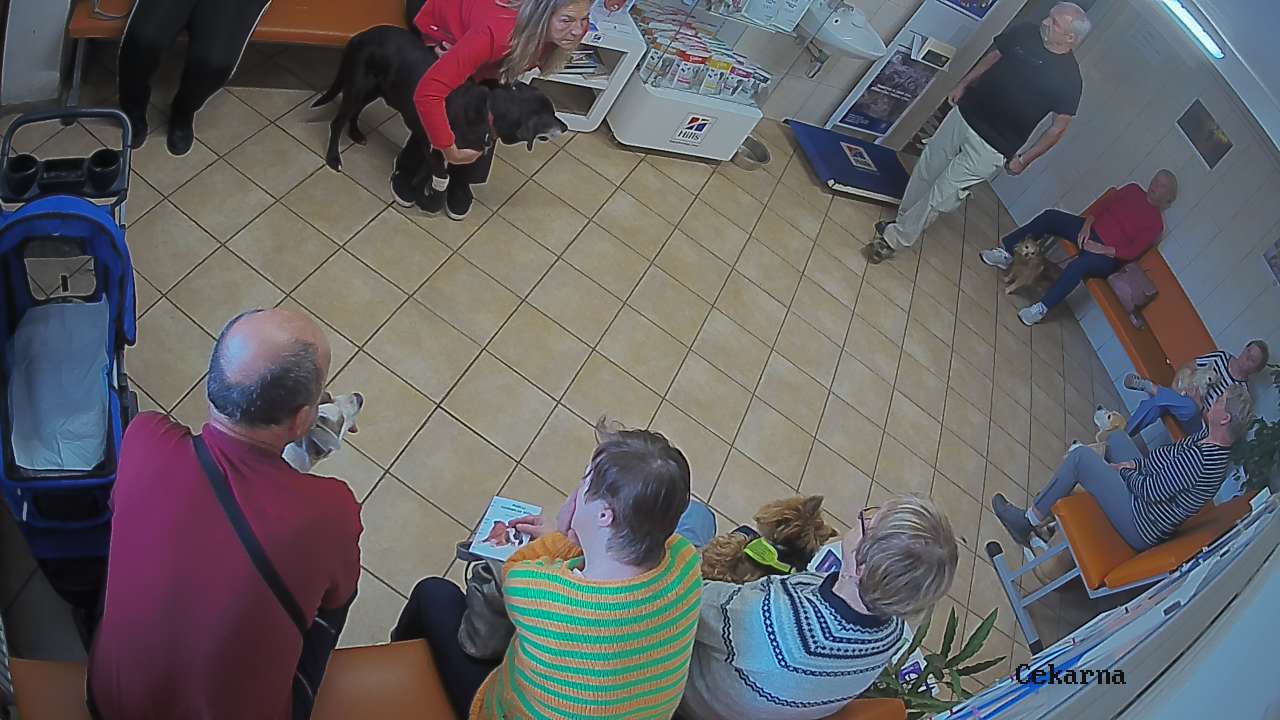 Pohled do čekárny